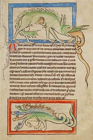 A Hydrus; A Hydra Black Ornate Wood Framed Art Print with Double Matting by English 13th Century
