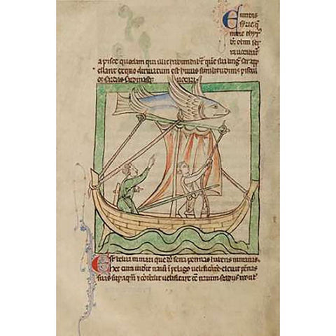 A Flying Fish Black Modern Wood Framed Art Print by English 13th Century