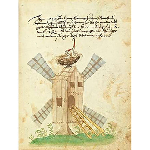 Civic festival of the Nuremberg Schembartlauf - Windmill Gold Ornate Wood Framed Art Print with Double Matting by German 16th Century