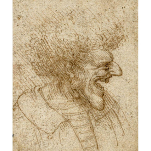 Caricature of a Man with Bushy Hair Gold Ornate Wood Framed Art Print with Double Matting by Da Vinci, Leonardo