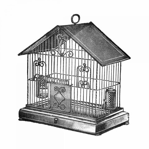 Etchings: Birdcage - Peaked top, twisted wire detail. Black Ornate Wood Framed Art Print with Double Matting by Catalog Illustration