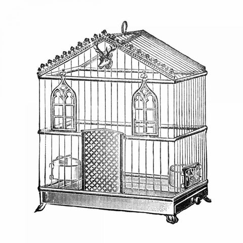 Etchings: Birdcage - Peaked top, window and deer head detail. White Modern Wood Framed Art Print with Double Matting by Catalog Illustration