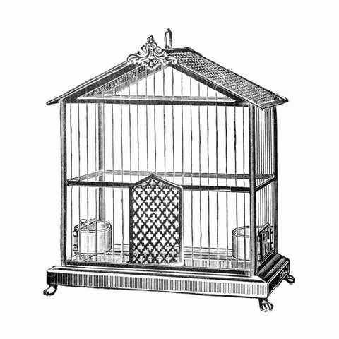 Etchings: Birdcage - Peaked top. Black Modern Wood Framed Art Print by Catalog Illustration