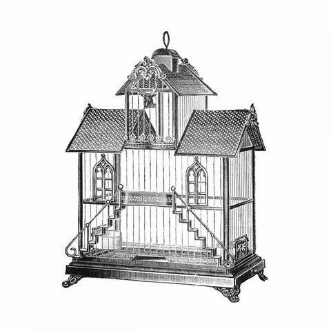 Etchings: Birdcage - Victorian house with steps. White Modern Wood Framed Art Print with Double Matting by Catalog Illustration