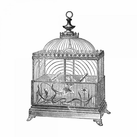 Etchings: Birdcage - Dome top, floral base, filigree detail. Black Modern Wood Framed Art Print by Catalog Illustration