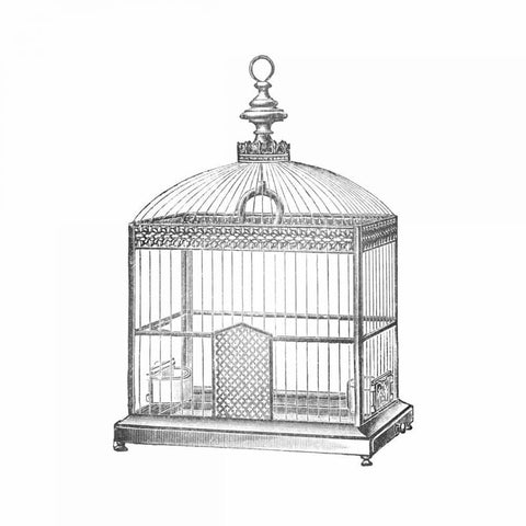 Etchings: Birdcage - Arched top, filigree detail. White Modern Wood Framed Art Print by Catalog Illustration