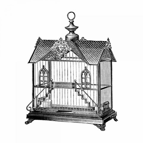 Etchings: Birdcage - Victorian house with steps. Black Modern Wood Framed Art Print with Double Matting by Catalog Illustration