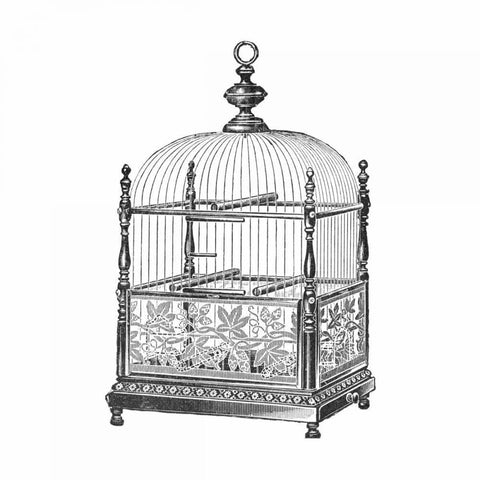 Etchings: Birdcage - Dome top, spindle corners, vine detail base. Black Ornate Wood Framed Art Print with Double Matting by Catalog Illustration