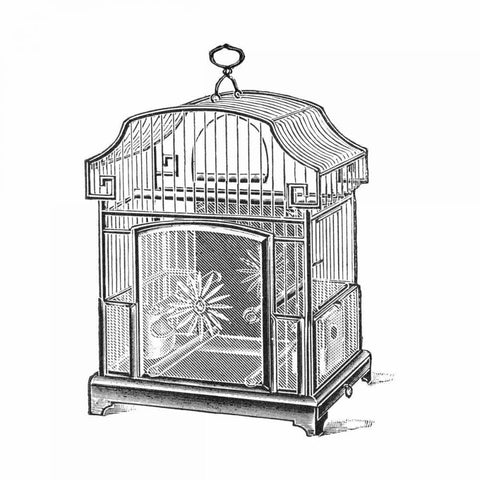 Etchings: Birdcage - Gable top, daisy base. Gold Ornate Wood Framed Art Print with Double Matting by Catalog Illustration