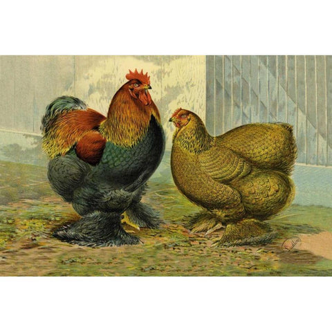 Chickens: Partridge Cochins Gold Ornate Wood Framed Art Print with Double Matting by Wright, Lewis