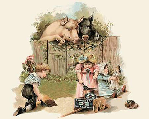 Pigs and Pork: Curious Pigs White Modern Wood Framed Art Print with Double Matting by Advertisement