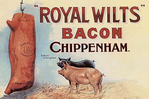 Pigs and Pork: Royal Wilts Bacon White Modern Wood Framed Art Print with Double Matting by Advertisement