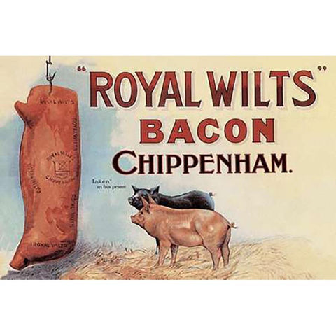Pigs and Pork: Royal Wilts Bacon White Modern Wood Framed Art Print by Advertisement