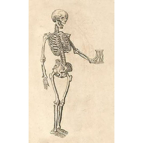 Human Skeleton with Hourglass White Modern Wood Framed Art Print by Bauhin, Caspar