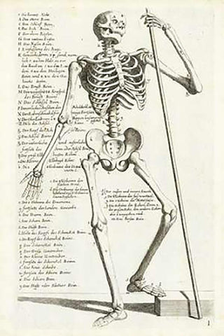 Anatomical diagram showing human skeleton, front view, with legends Black Ornate Wood Framed Art Print with Double Matting by Bollmann, Hieronymus