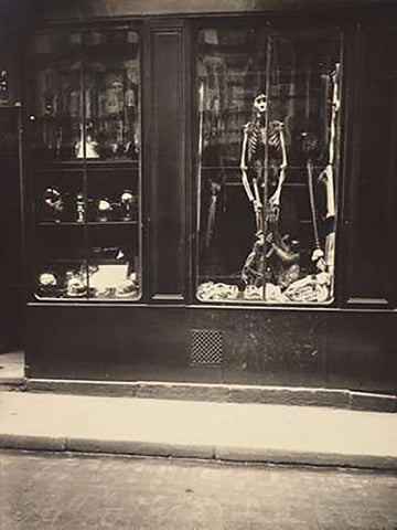 Zoologists Shop White Modern Wood Framed Art Print with Double Matting by Atget, Eugene