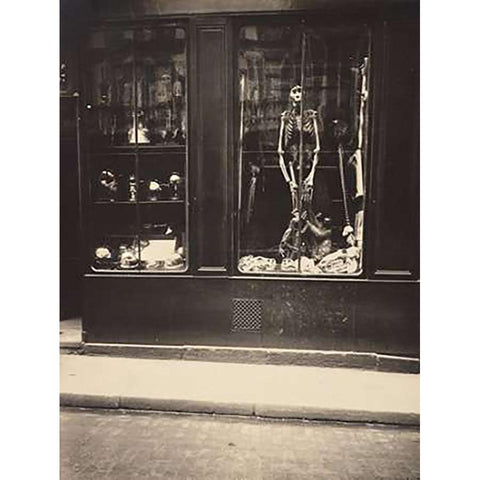 Zoologists Shop Black Modern Wood Framed Art Print by Atget, Eugene