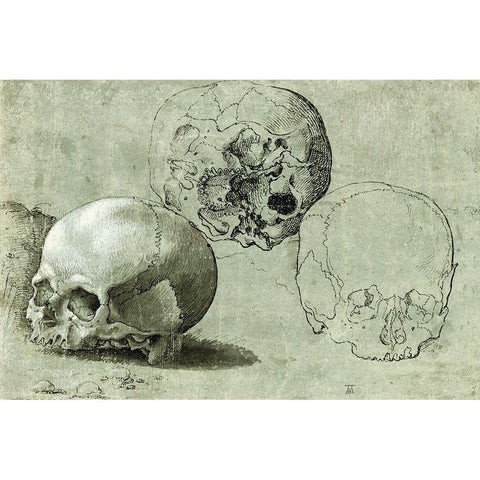 Study of Three Skulls Black Modern Wood Framed Art Print by Southern German, Unknown