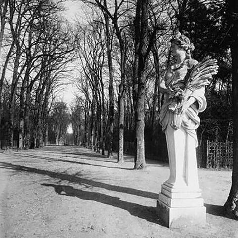 France, 1920 - The Park, Versailles White Modern Wood Framed Art Print with Double Matting by Atget, Eugene