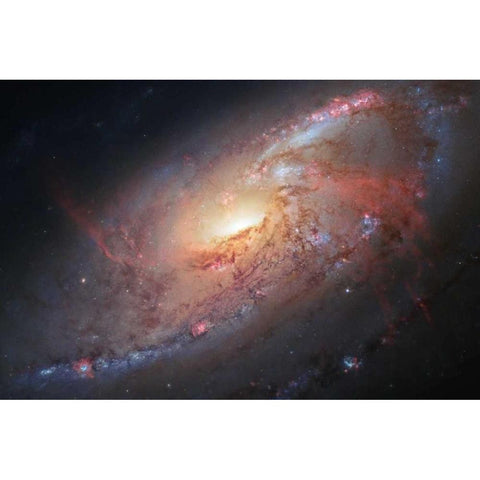 Galaxy M106 Gold Ornate Wood Framed Art Print with Double Matting by NASA