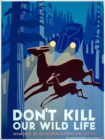 Dont kill our wild life White Modern Wood Framed Art Print with Double Matting by WPA