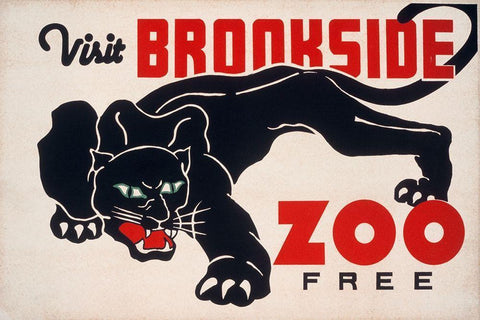 Brookfield Zoo - Panther White Modern Wood Framed Art Print with Double Matting by WPA