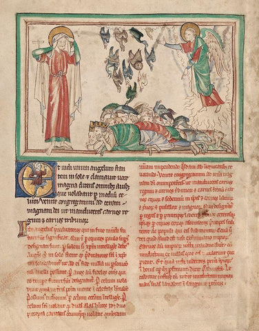 An Angel Standing in the Sun and Birds Invited to the Repast White Modern Wood Framed Art Print with Double Matting by Illuminator, Unknown 13th Century