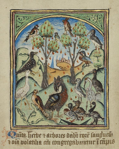 The Fifth Sign before the Day of Judgement Black Ornate Wood Framed Art Print with Double Matting by Illuminator, Unknown 12th Century English