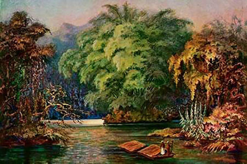 Riesenbambus von Ceylon Fahrt auf dem Schwarzen FluÃŸ Kalu Ganga Black Ornate Wood Framed Art Print with Double Matting by Haeckel, Ernst