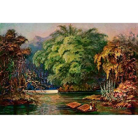 Riesenbambus von Ceylon Fahrt auf dem Schwarzen FluÃŸ Kalu Ganga White Modern Wood Framed Art Print by Haeckel, Ernst