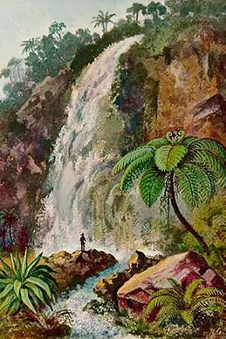 Wasserfall von TjiburMaps Am Vulkan Pangerango in Java Black Ornate Wood Framed Art Print with Double Matting by Haeckel, Ernst