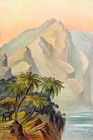 Am Ende der Welt Worlds End. Ceylon Black Ornate Wood Framed Art Print with Double Matting by Haeckel, Ernst
