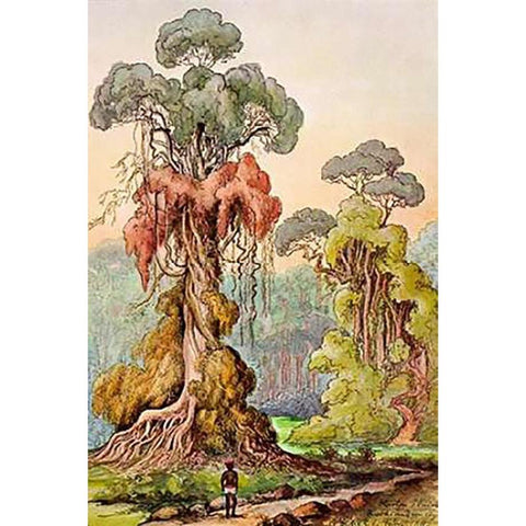 Lianen-Mantel an Saulenbaumen Hochland von Ceylon Gold Ornate Wood Framed Art Print with Double Matting by Haeckel, Ernst