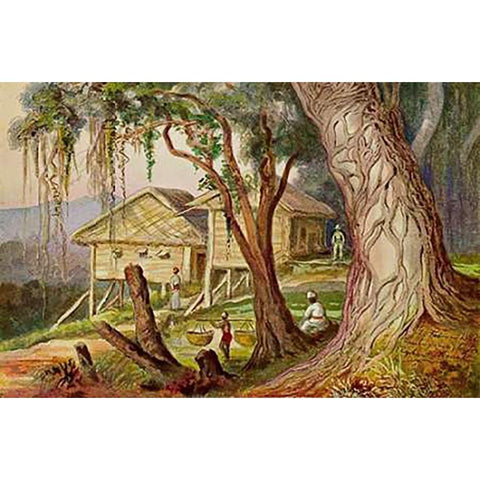 Elefanten-Corral Lambugana, Ceylon White Modern Wood Framed Art Print by Haeckel, Ernst