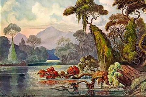 Urwald am Blauen FluÃŸ Kelany-Ganga, Ceylon Black Ornate Wood Framed Art Print with Double Matting by Haeckel, Ernst