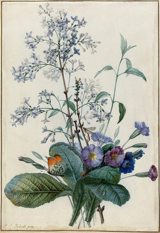 A Bouquet of Flowers with Insects Black Ornate Wood Framed Art Print with Double Matting by Redoute, Pierre Joseph