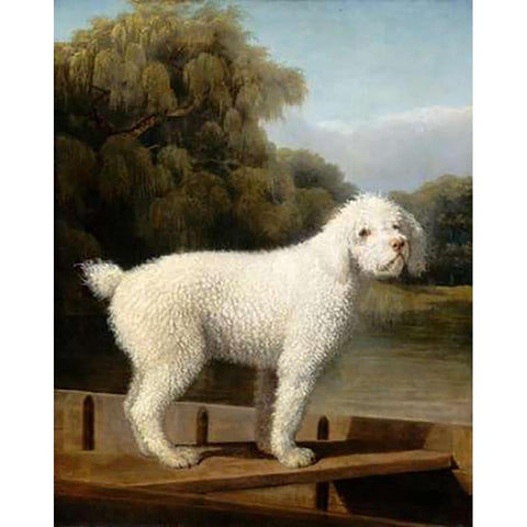 White Poodle in a Punt, c. 1780 Black Modern Wood Framed Art Print with Double Matting by Stubbs, George