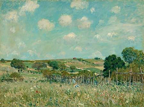 Meadow, 1875 White Modern Wood Framed Art Print with Double Matting by Sisley, Alfred