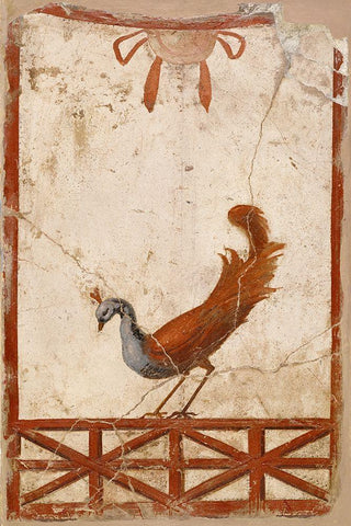 Wall Fragment with a Peacock White Modern Wood Framed Art Print with Double Matting by Artisan, Unknown 1st Century Roman
