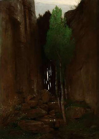 Quell in einer Felsschlucht (Spring in a Narrow Gorge) Black Ornate Wood Framed Art Print with Double Matting by Boulin, Arnold