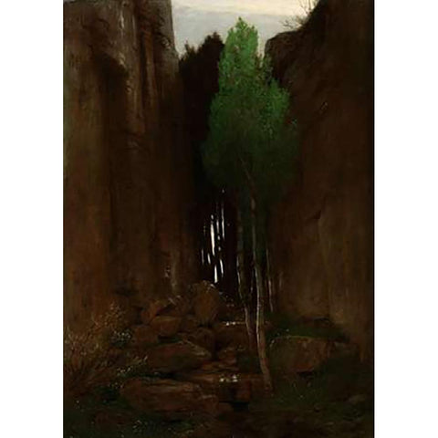 Quell in einer Felsschlucht (Spring in a Narrow Gorge) Black Modern Wood Framed Art Print by Boulin, Arnold
