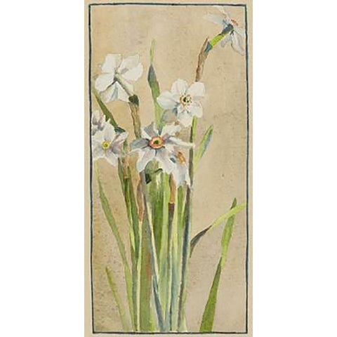 White Narcissus with Gray Accents Black Modern Wood Framed Art Print by Overbeck, Hannah Borger