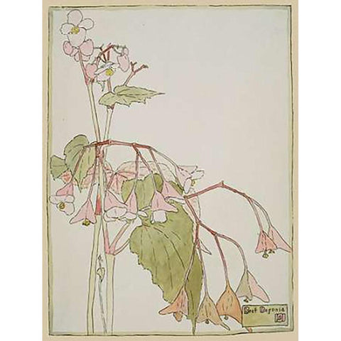 Beef Begonia Gold Ornate Wood Framed Art Print with Double Matting by Overbeck, Hannah Borger