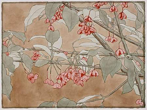 Burning Bush Black Ornate Wood Framed Art Print with Double Matting by Overbeck, Hannah Borger