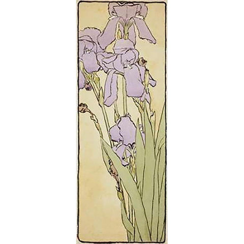 Iris White Modern Wood Framed Art Print by Overbeck, Hannah Borger
