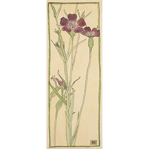 Corn Cockle White Modern Wood Framed Art Print by Overbeck, Hannah Borger