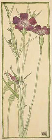 Corn Cockle White Modern Wood Framed Art Print with Double Matting by Overbeck, Hannah Borger