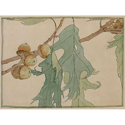 Oak/Acorns White Modern Wood Framed Art Print by Overbeck, Hannah Borger