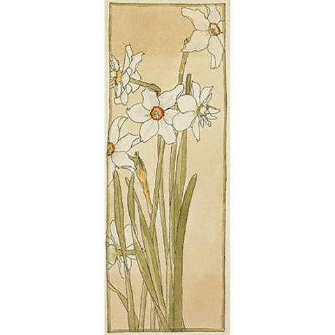 Poets Narcissus Black Modern Wood Framed Art Print with Double Matting by Overbeck, Hannah Borger