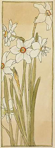 Poets Narcissus White Modern Wood Framed Art Print with Double Matting by Overbeck, Hannah Borger